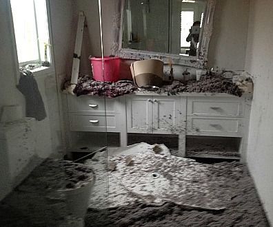 400rathouse2.jpg