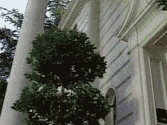 tumblr_inline_n42vub5weq1qbu7li.gif