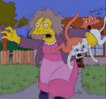crazy_cat_lady_6507.png