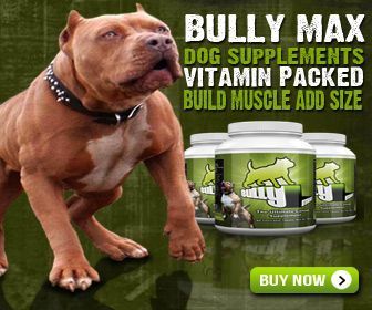 pit_bull_supplement.jpg