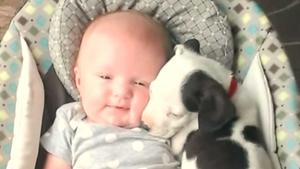 babypit.jpg