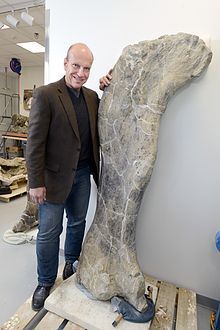 Lacovara-Dreadnoughtus-femur.jpg