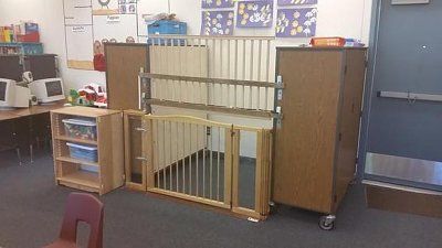 cage.jpeg