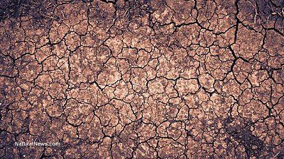 cracked-dry-land-soil-drought.jpg