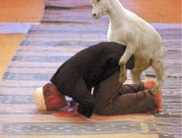 1%201%20%20a%20a%20A%20A%20A%20A%20A%20%20Goat%2002.JPG