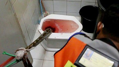 image.jpeg