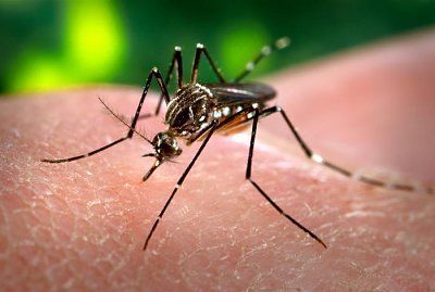 oral-sex-zika-body-image-1464969060.jpg