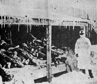Unit_731.jpg
