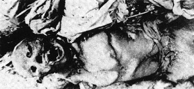 51897464.jpg