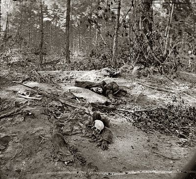 unburied-dead.jpg