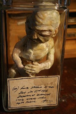 2803357938_109ab24d8f.jpg
