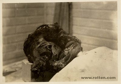 mort-1.jpg