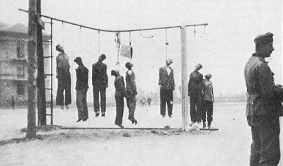hanging.jpg