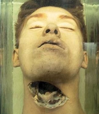 specimen.JPG