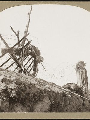 ww1-29.jpg