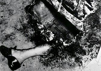 spon5.jpg