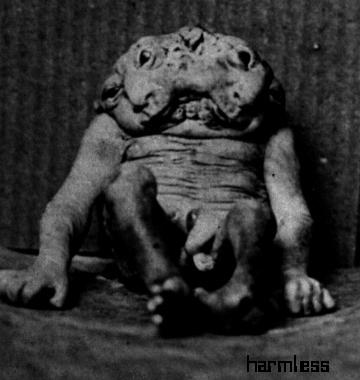 babies_02.jpg