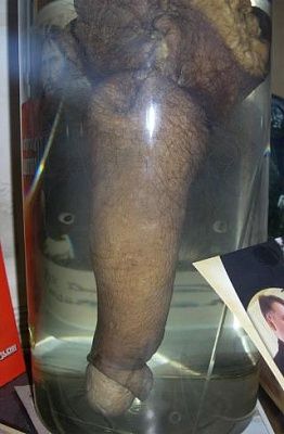 pickled-penis-rasputin.jpg