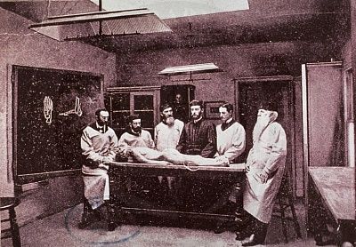 dissection3.jpg