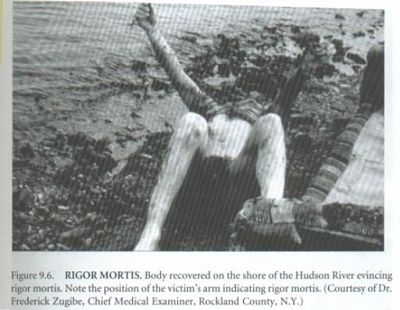 recovered-body.jpg