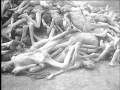 auschwitz_bodies.jpg