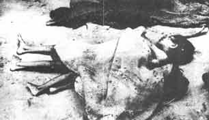 war71 (46).jpg