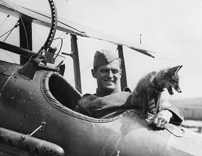 pilotwithfoxy.png