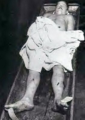 53593_dead-real063_123_530lo.jpg