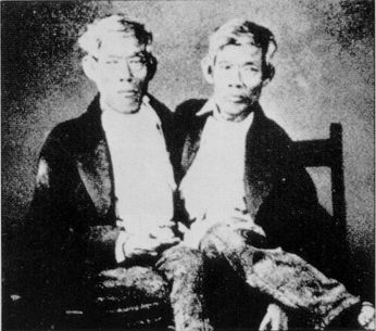 chang_eng_adults.jpg