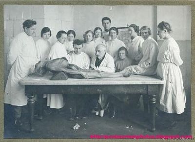 cadaver2.jpg-450.jpg