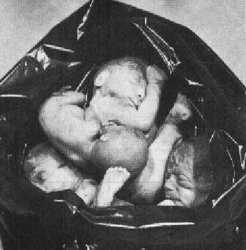 babies_in_trash.jpg