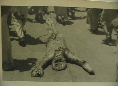 1_1958.jpg