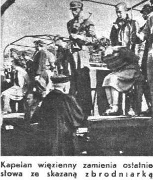 Name:  biskupia4.jpg
Views: 23052
Size:  30.0 KB