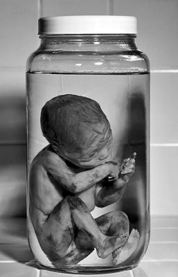 jarred-baby.jpg