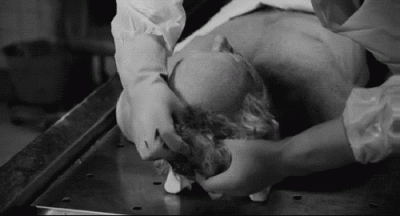tumblr_m1u6n67ivw1qfryqfo1_500.gif