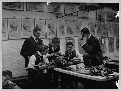 dissecting-room-1900.jpg