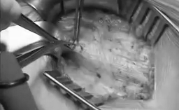 tumblr_lj9c8mM5mi1qi4pkyo1_400.gif