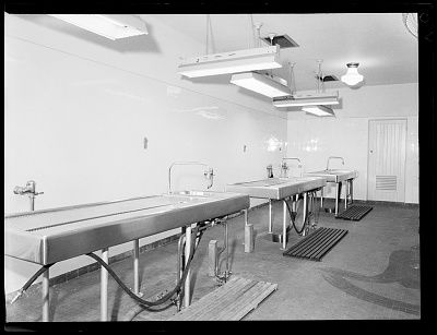 sydney-20morgue-20-281-29.jpg