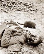 Civil-War-Dead-001-th.jpg