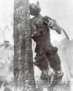 lynch8.jpg