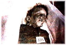 lusitania5.jpg