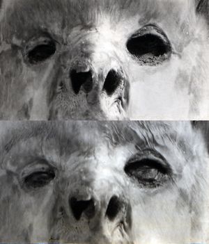 Wallace%203%20eyes.jpg