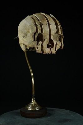 exploded-20and-20dissected-20skulls.-20-20-282-29.jpg