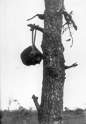 3-20trophies-japanese-dead-soldiers-american-soldiers-ww2-burma.jpg