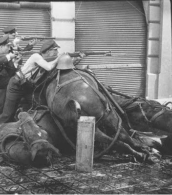 horses.jpg