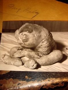 Human%20Frog%20Baby%20c.%201947.jpg