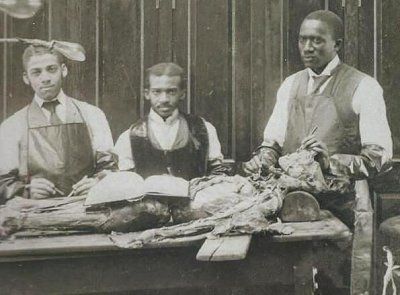 medical_dissections_2.jpg