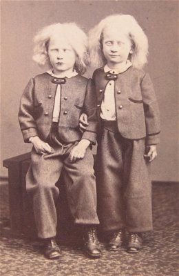 twins.jpg