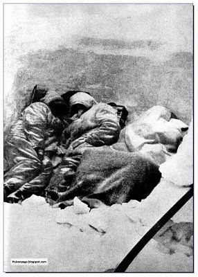 dead-frozen-soldiers-german-1943-stalingrad.jpg