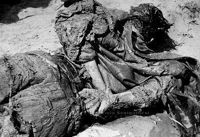 jasenovac-02.jpg